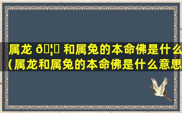 属龙 🦋 和属兔的本命佛是什么（属龙和属兔的本命佛是什么意思）